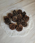 Pine Cones