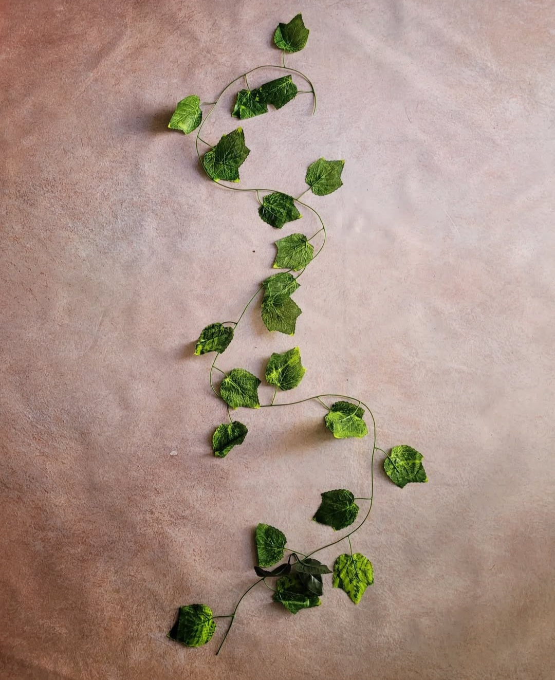 Flowers, Fillers & Vines